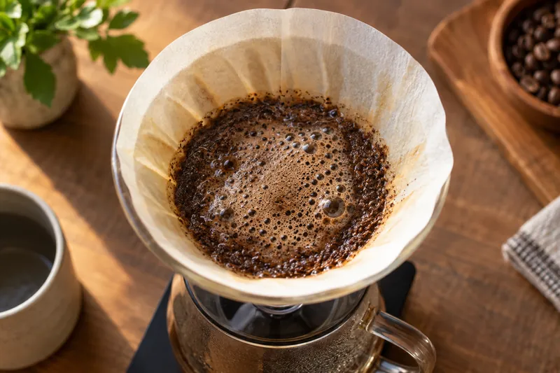 Wet coffee grounds blooming inside a paper filter